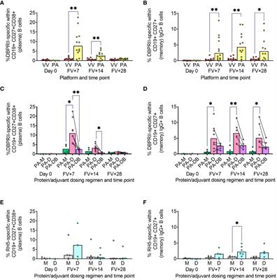 Analyses of human vaccine-specific circulating and bone marrow-resident B cell populations reveal benefit of delayed vaccine booster dosing with blood-stage malaria antigens
